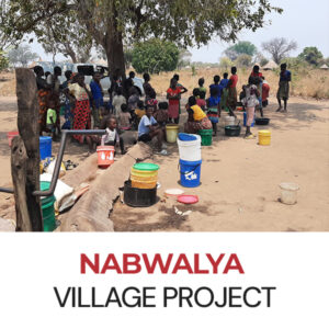 Nabwalya Village Project